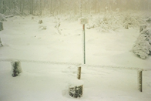 17 Brockenwanderweg.jpg